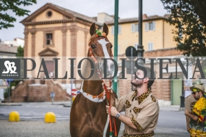 Corteo-Vittoria-Selva-31-Agosto-2019-231