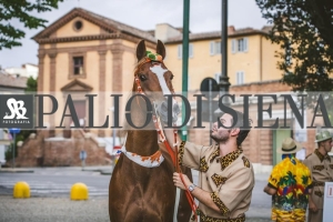 Corteo-Vittoria-Selva-31-Agosto-2019-233