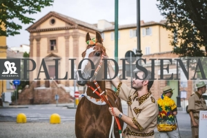 Corteo-Vittoria-Selva-31-Agosto-2019-237