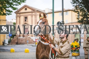 Corteo-Vittoria-Selva-31-Agosto-2019-238