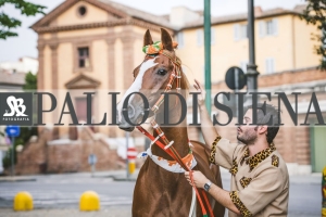 Corteo-Vittoria-Selva-31-Agosto-2019-240