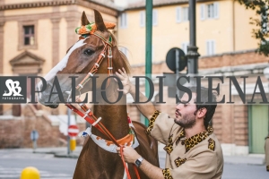 Corteo-Vittoria-Selva-31-Agosto-2019-246