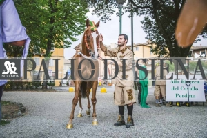 Corteo-Vittoria-Selva-31-Agosto-2019-251