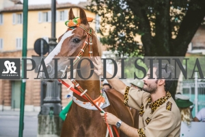 Corteo-Vittoria-Selva-31-Agosto-2019-254
