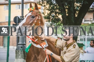 Corteo-Vittoria-Selva-31-Agosto-2019-255
