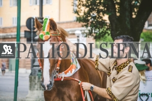 Corteo-Vittoria-Selva-31-Agosto-2019-257