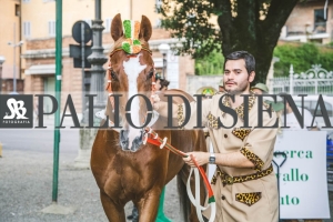 Corteo-Vittoria-Selva-31-Agosto-2019-258