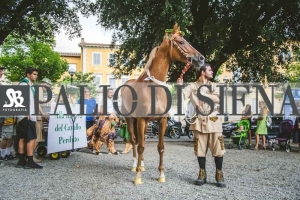 Corteo-Vittoria-Selva-31-Agosto-2019-263