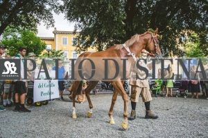 Corteo-Vittoria-Selva-31-Agosto-2019-264