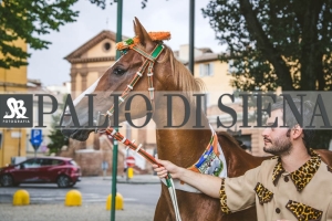 Corteo-Vittoria-Selva-31-Agosto-2019-265