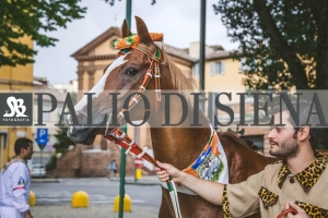 Corteo-Vittoria-Selva-31-Agosto-2019-266