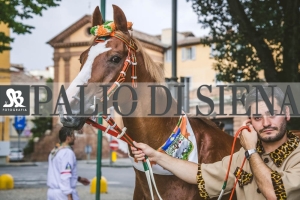 Corteo-Vittoria-Selva-31-Agosto-2019-267