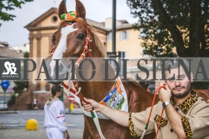 Corteo-Vittoria-Selva-31-Agosto-2019-268