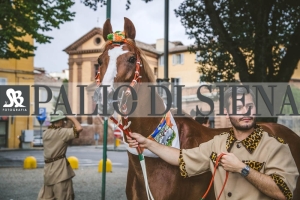 Corteo-Vittoria-Selva-31-Agosto-2019-269