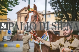 Corteo-Vittoria-Selva-31-Agosto-2019-270
