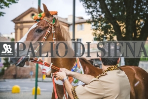 Corteo-Vittoria-Selva-31-Agosto-2019-271