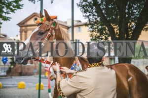 Corteo-Vittoria-Selva-31-Agosto-2019-272