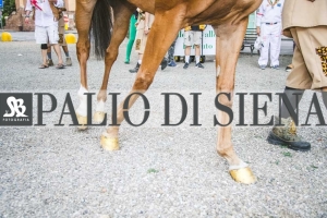 Corteo-Vittoria-Selva-31-Agosto-2019-275