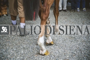 Corteo-Vittoria-Selva-31-Agosto-2019-277