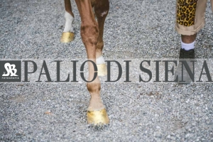Corteo-Vittoria-Selva-31-Agosto-2019-278