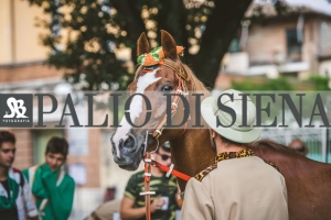 Corteo-Vittoria-Selva-31-Agosto-2019-279