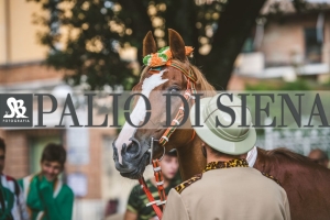 Corteo-Vittoria-Selva-31-Agosto-2019-280