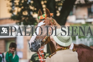 Corteo-Vittoria-Selva-31-Agosto-2019-281