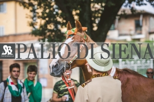 Corteo-Vittoria-Selva-31-Agosto-2019-282