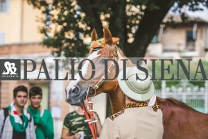 Corteo-Vittoria-Selva-31-Agosto-2019-283