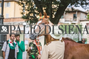 Corteo-Vittoria-Selva-31-Agosto-2019-284