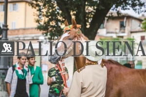 Corteo-Vittoria-Selva-31-Agosto-2019-285