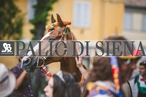 Corteo-Vittoria-Selva-31-Agosto-2019-287