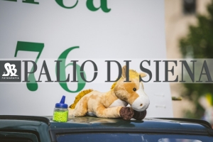 Corteo-Vittoria-Selva-31-Agosto-2019-345