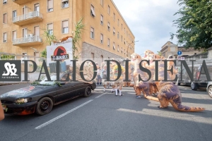 Corteo-Vittoria-Selva-31-Agosto-2019-381