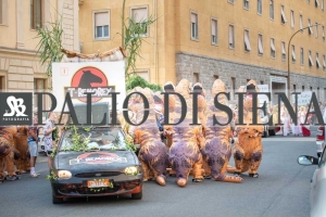 Corteo-Vittoria-Selva-31-Agosto-2019-390