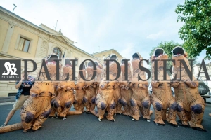 Corteo-Vittoria-Selva-31-Agosto-2019-416