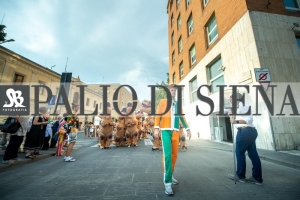 Corteo-Vittoria-Selva-31-Agosto-2019-422