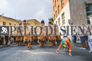 Corteo-Vittoria-Selva-31-Agosto-2019-424