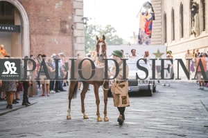 Corteo-Vittoria-Selva-31-Agosto-2019-672