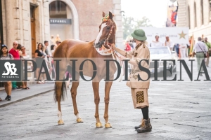 Corteo-Vittoria-Selva-31-Agosto-2019-677