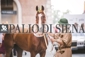 Corteo-Vittoria-Selva-31-Agosto-2019-678