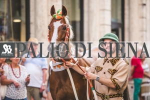 Corteo-Vittoria-Selva-31-Agosto-2019-682