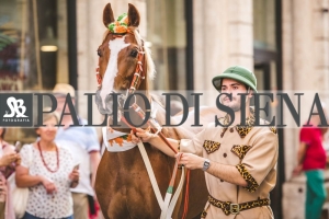 Corteo-Vittoria-Selva-31-Agosto-2019-683