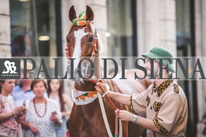 Corteo-Vittoria-Selva-31-Agosto-2019-685