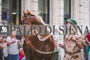 Corteo-Vittoria-Selva-31-Agosto-2019-686