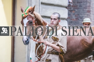 Corteo-Vittoria-Selva-31-Agosto-2019-723