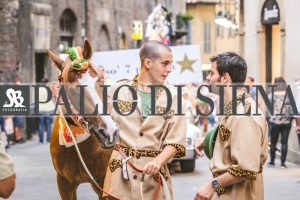 Corteo-Vittoria-Selva-31-Agosto-2019-756