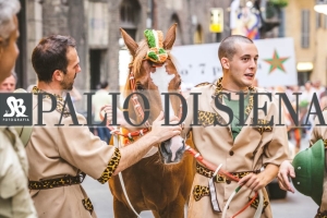 Corteo-Vittoria-Selva-31-Agosto-2019-758