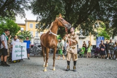 Corteo-Vittoria-Selva-31-Agosto-2019-261