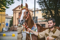 Corteo-Vittoria-Selva-31-Agosto-2019-270